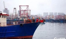 爆料渔船视频播放大全最新,海上捕捞瞬间大盘点